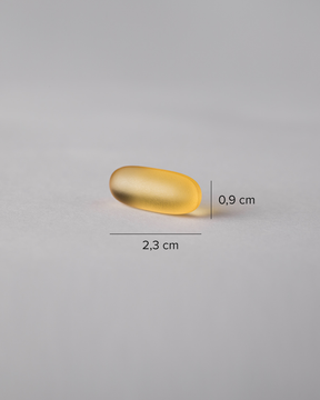 Super Omega-3 TG Gastro-resistant | 90 caps